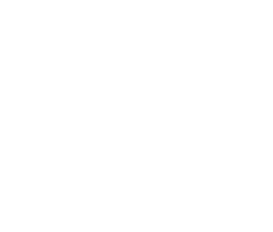 logo dpmml krivky white 1 full line up